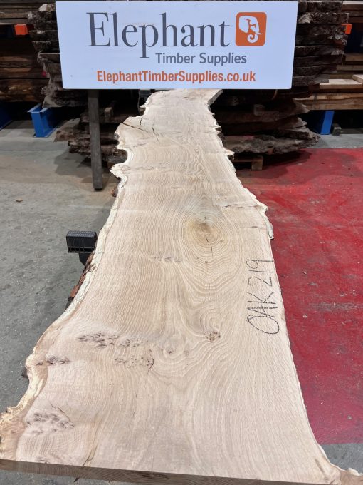 Oak #219