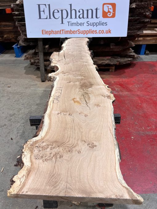 Oak #221