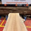 Elm #238