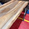 Sappy Elm Table Top - 2100 x 930/970 x 30mm (Fully Finished)