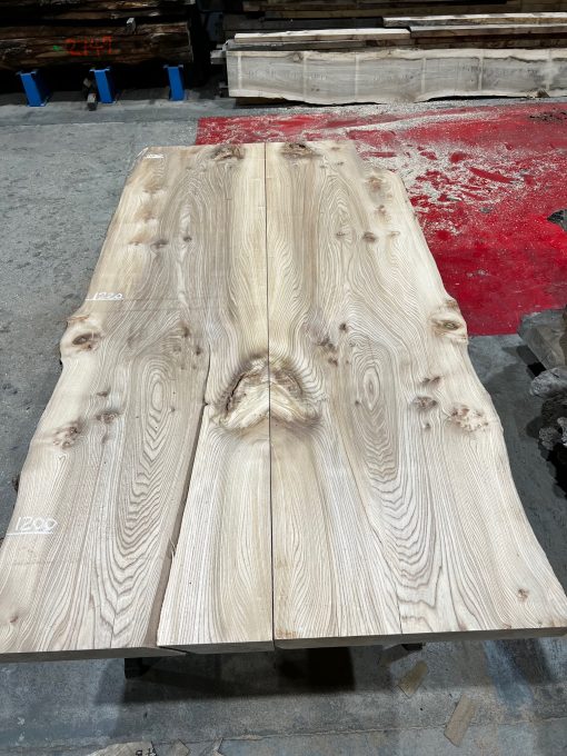 Elm Book Matched Pair #216