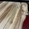 Elm Book Matched Pair #217