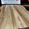 Elm Book Matched Pair #217