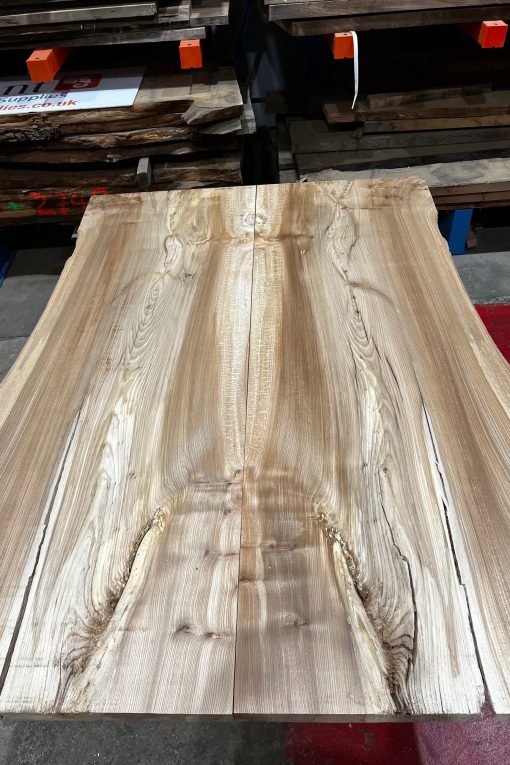 Elm Book Matched Pair #218