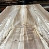 Elm Book Matched Pair #218
