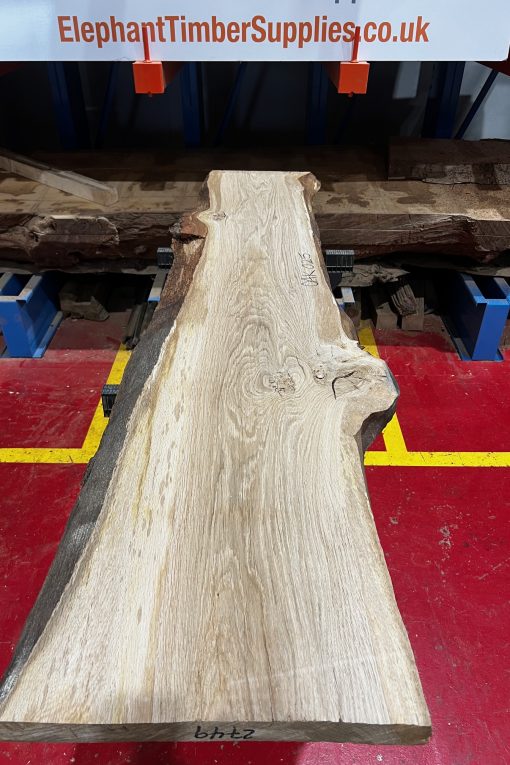 Oak #025