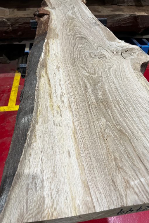 Alternative view of Oak #025