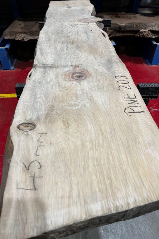 Alternative view of Pine #203