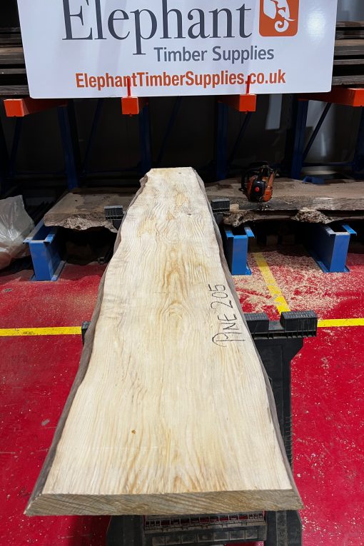 Pine #205