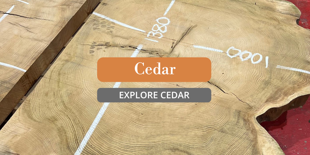 Cedar