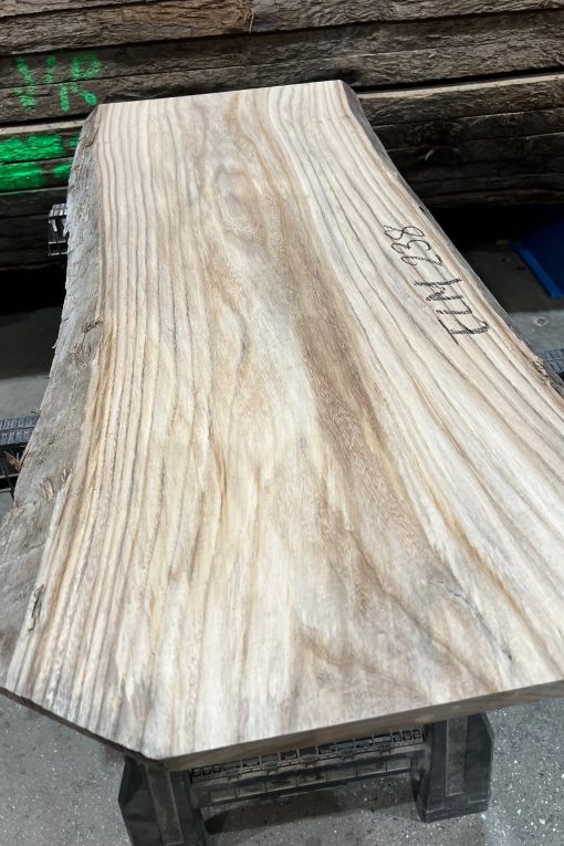 Alternative view of Elm #238