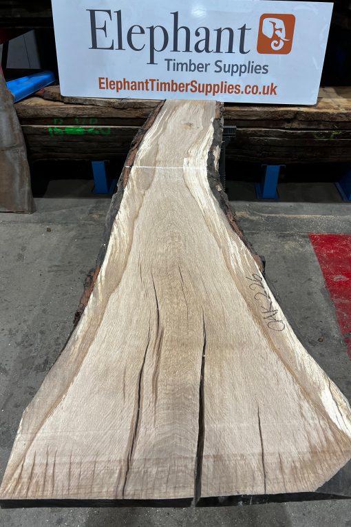 Oak #226