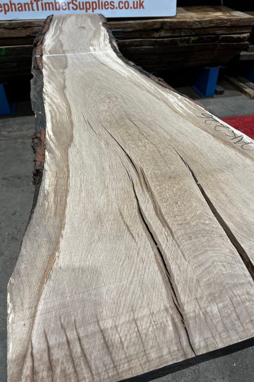 Alternative view of Oak #226