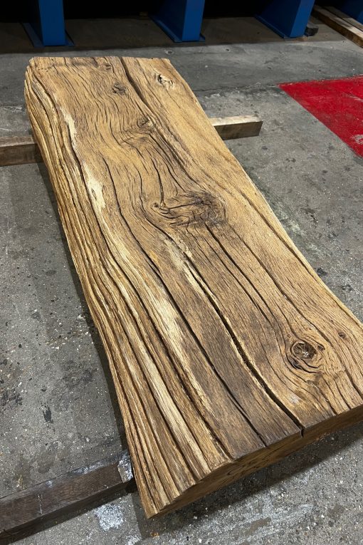 Oak #230