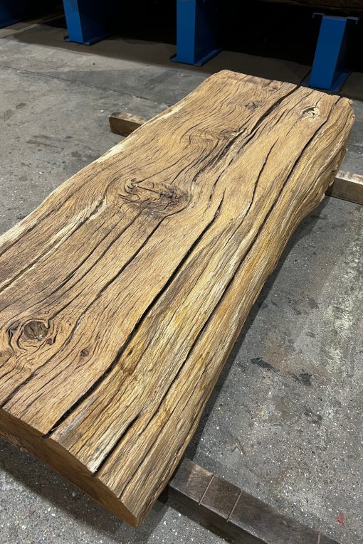 Alternative view of Oak #230