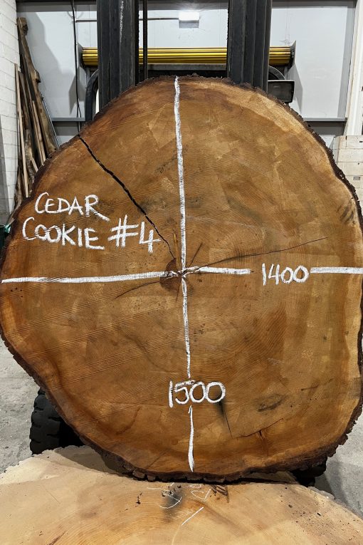 Cedar Cookie #4