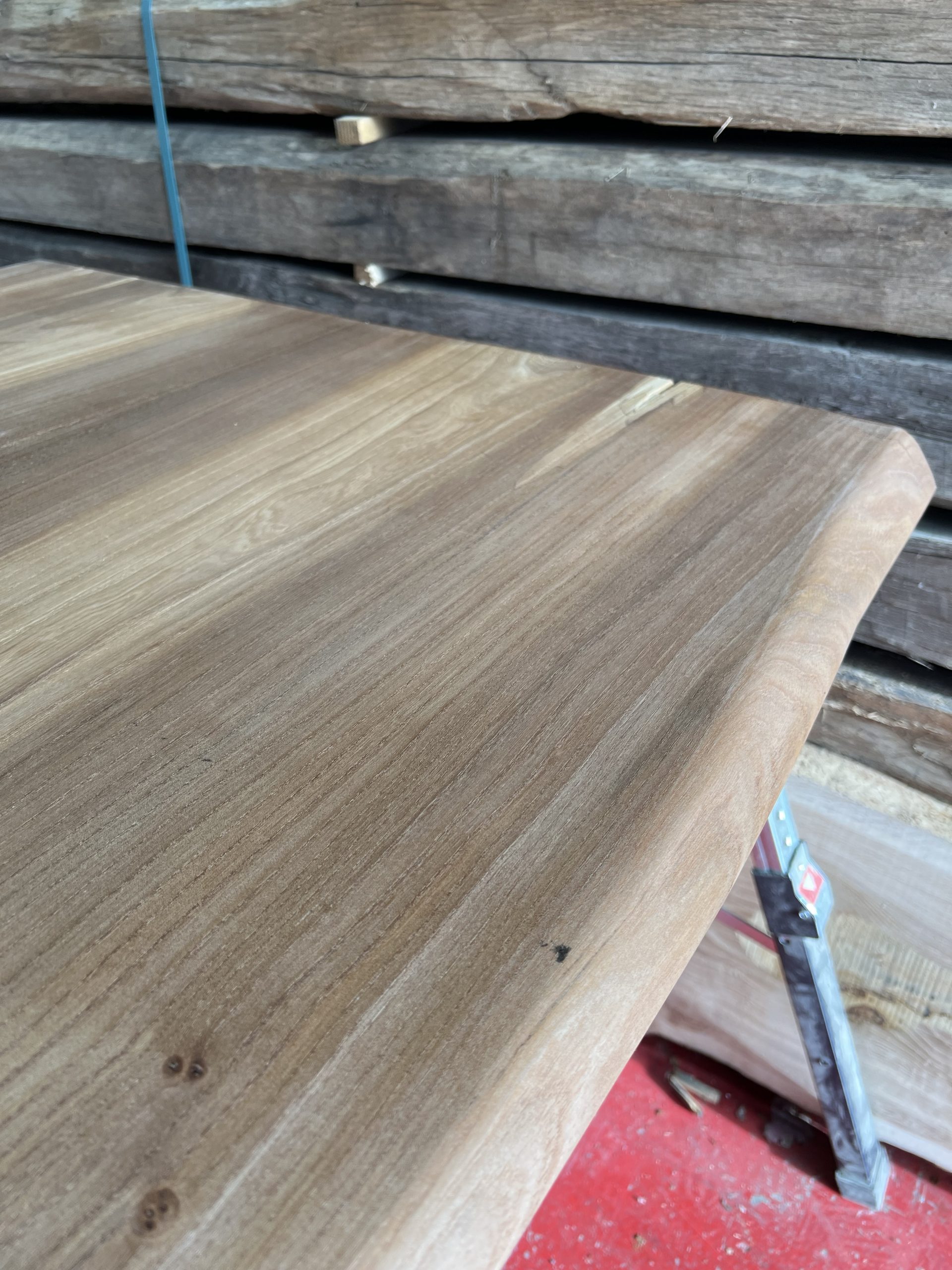 Elm BookMatch Pair #220