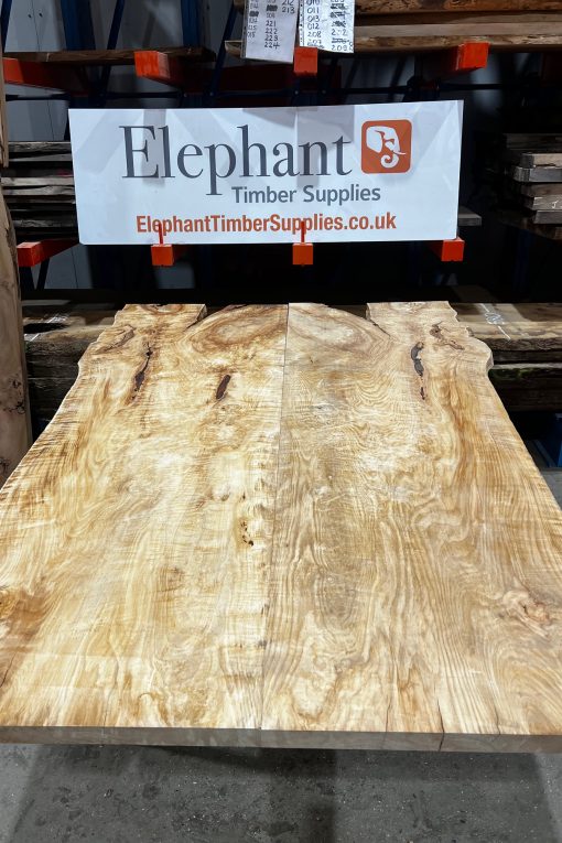 Horse Chestnut Book Matched Pair #001