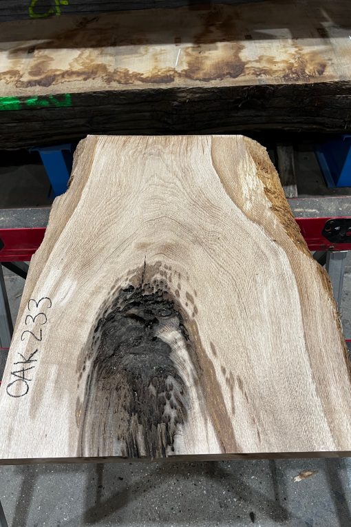 Oak #233