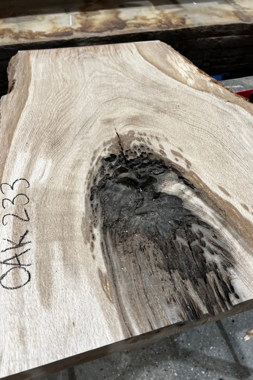 Alternative view of Oak #233