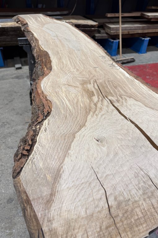 Alternative view of Oak #234