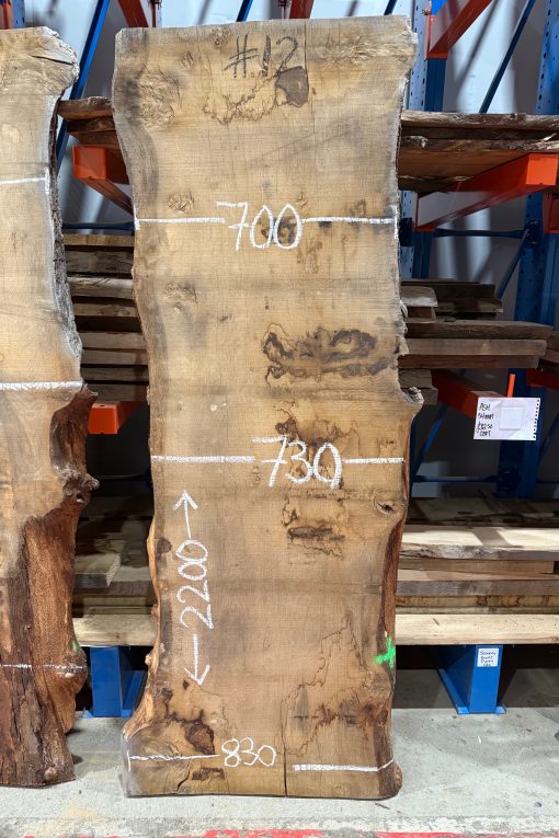 Oak #12