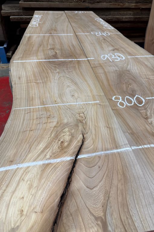Alternative view of Elm Book Matched Pair #221