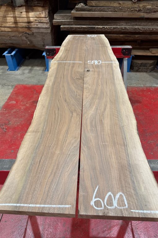 English Walnut Book Matched Pair #001