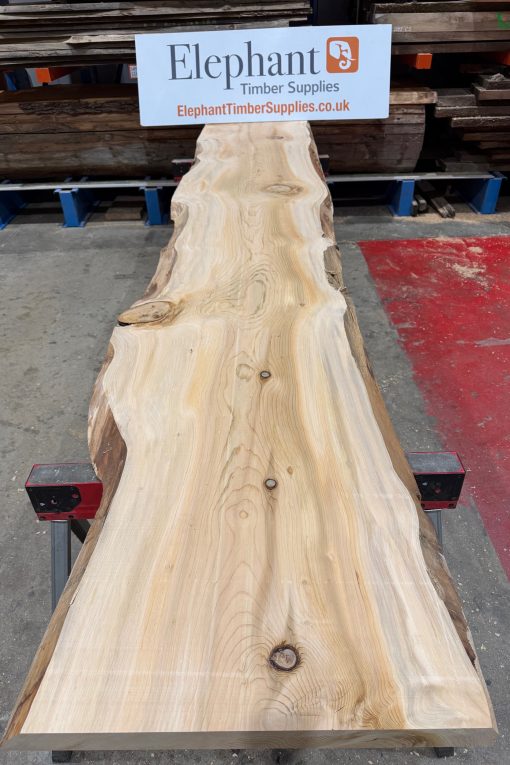 Cedar #202