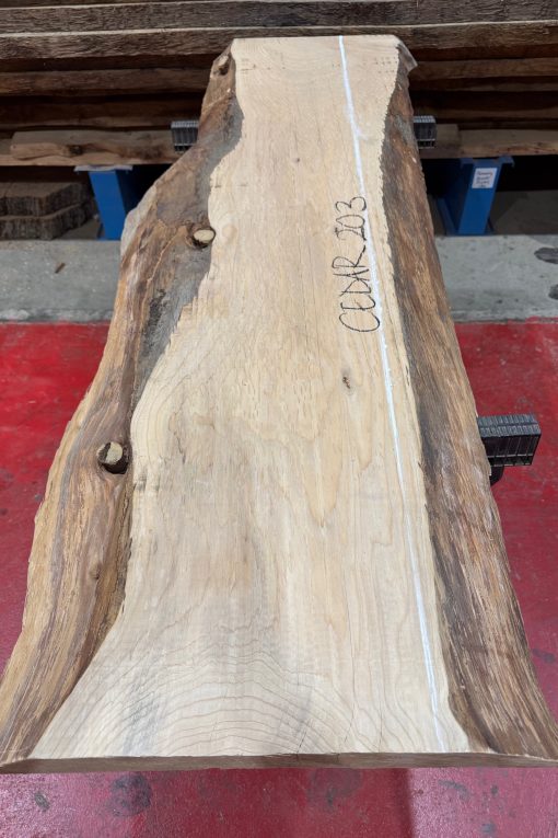 Cedar #203