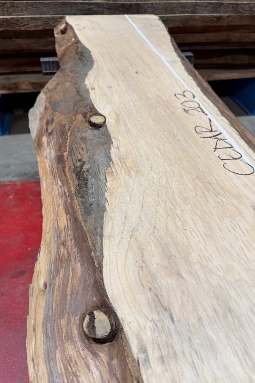 Alternative view of Cedar #203