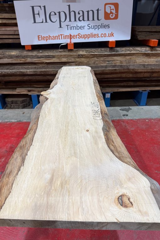 Cedar #205