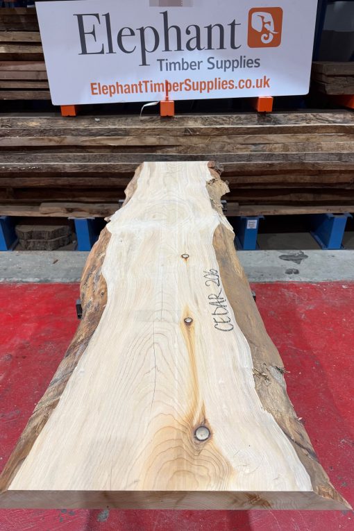 Cedar #206