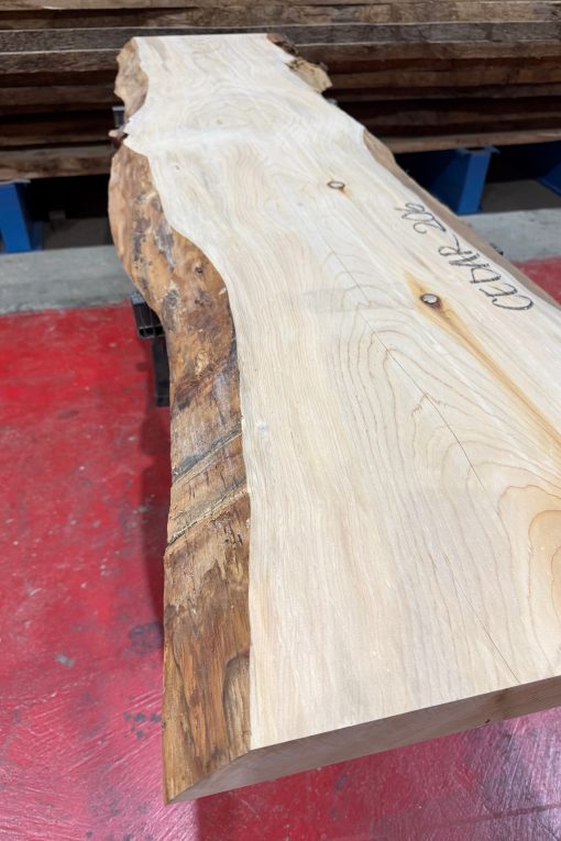 Alternative view of Cedar #206