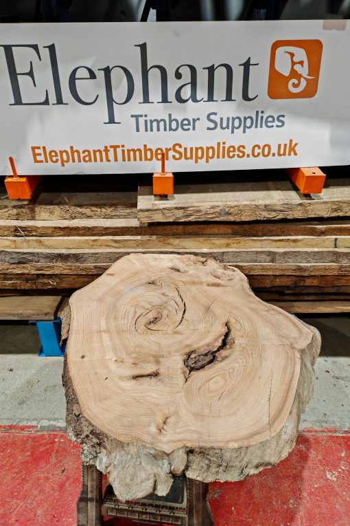 Elm Cookie #01
