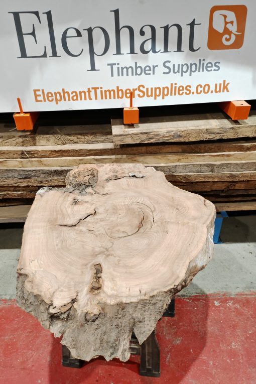 Elm Cookie #02