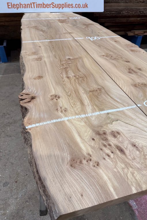 Alternative view of Elm Book Matched Pair #222