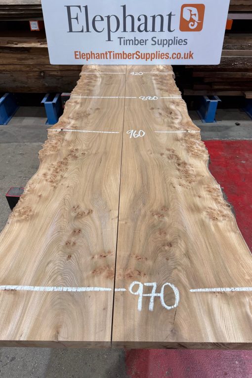 Elm Book Matched Pair #223