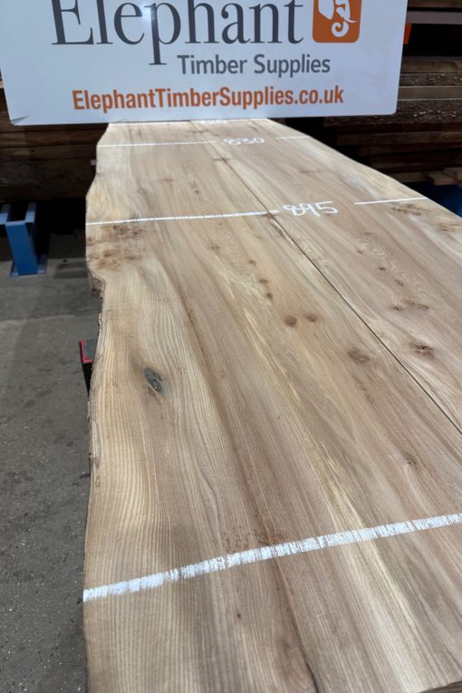 Alternative view of Elm Book Matched Pair #224