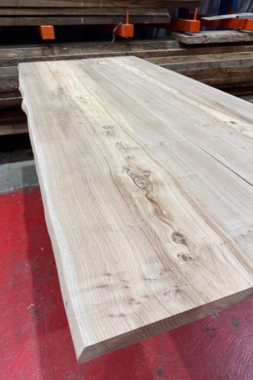 Alternative view of Elm Pair #225