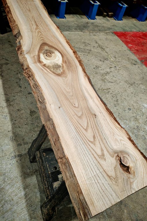 ELM 254