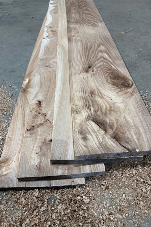 Standard Square Cut - 27mm Elm