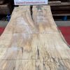 Rippled Sycamore 226