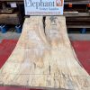Rippled Sycamore 226