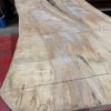 Rippled Sycamore 226