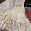 Rippled Sycamore 226