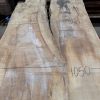 Rippled Sycamore 226