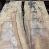 Rippled Sycamore 226