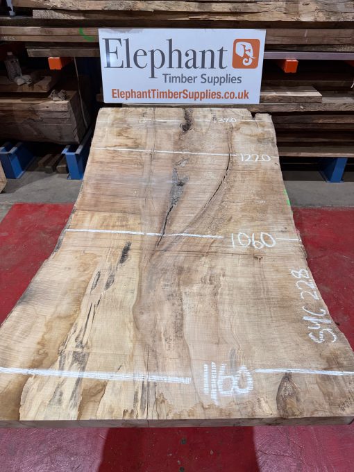 Rippled sycamore 228