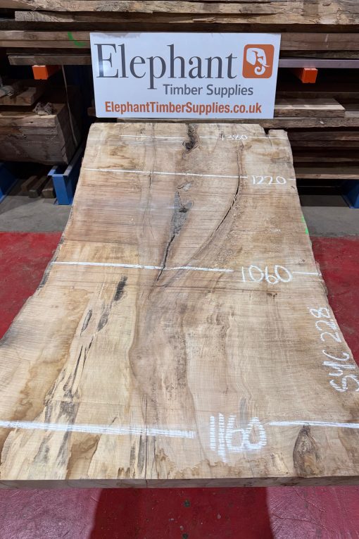 Rippled sycamore 228